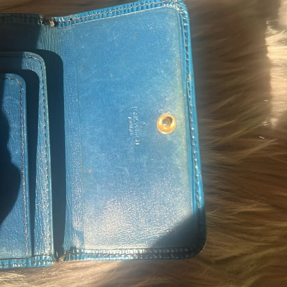 LV Blue Epi “project” wallet.